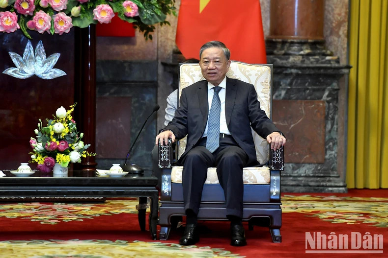 越共中央总书记、国家主席苏林在会见中发表讲话。