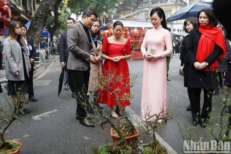 梳街花市是河内古街市民及河内首都人民的一道靓丽的文化风景线。 梳街花市是河内古街市民及河内首都人民的一道靓丽的文化风景线。