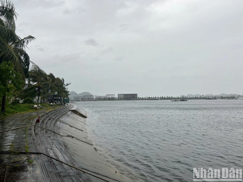 为做好台风防治工作，广宁省成立了7个工作组，检查该地区应对3号台风的准备情况。