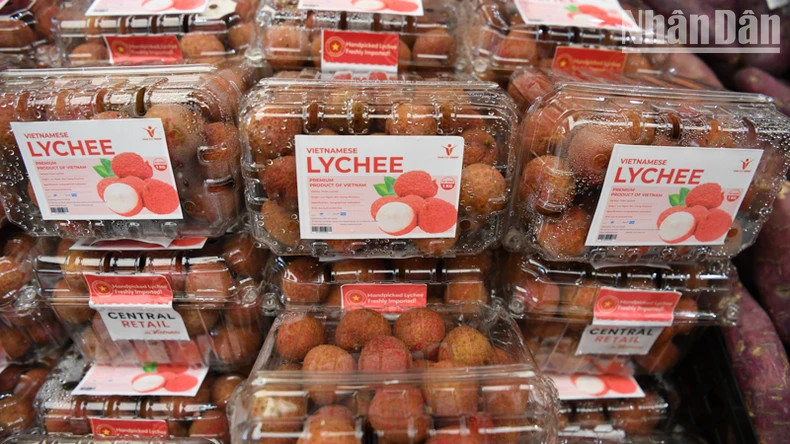 越南荔枝颇受泰国消费者欢迎。