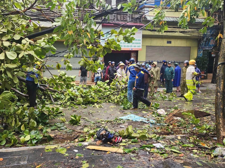 9月8日上午,各职能力量在南定省南定市清理倒下的树木。 9月8日上午,各职能力量在南定省南定市清理倒下的树木。