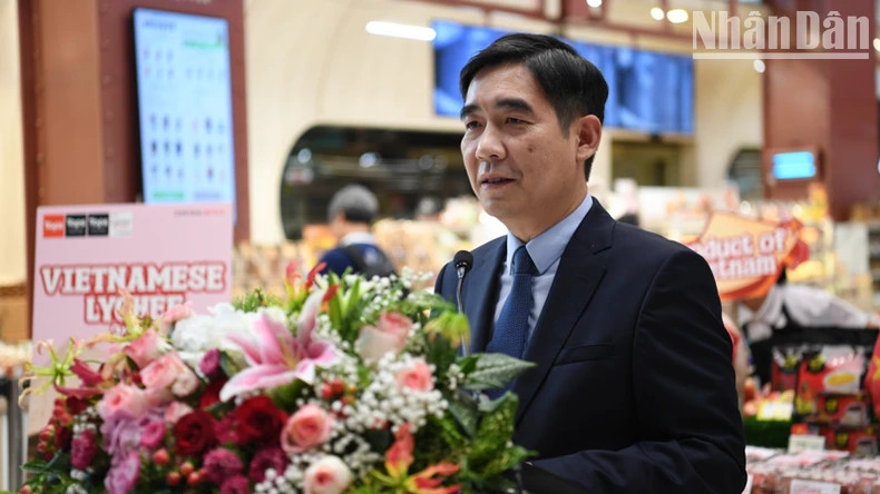 越南驻泰国大使范越雄在活动上发表讲话。