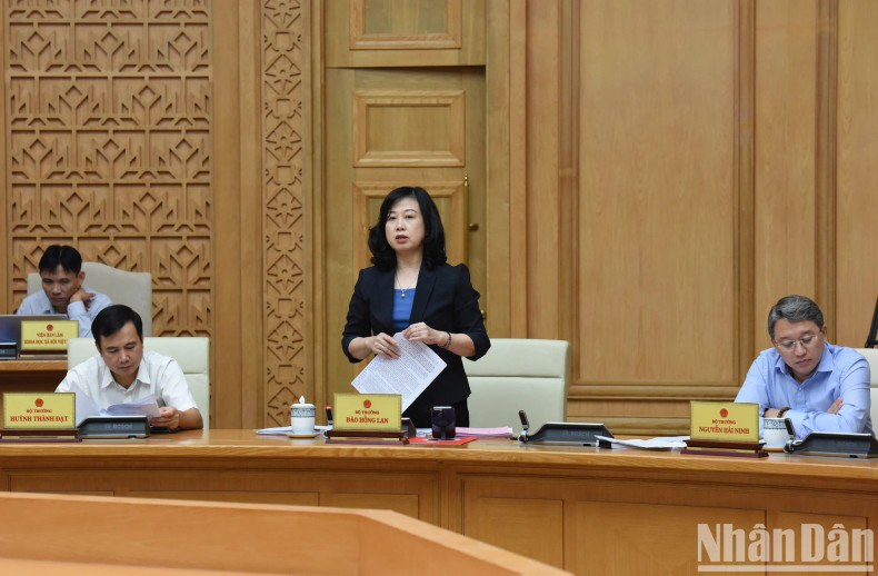 卫生部部长陶红兰发表讲话。