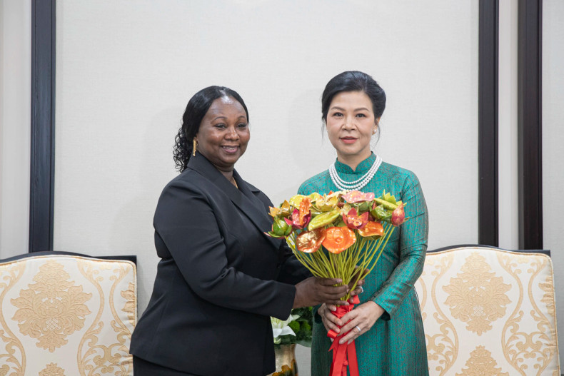 越共中央总书记、国家主席苏林夫人吴芳璃向几内亚比绍总统夫人送礼物。 越共中央总书记、国家主席苏林夫人吴芳璃向几内亚比绍总统夫人送礼物。