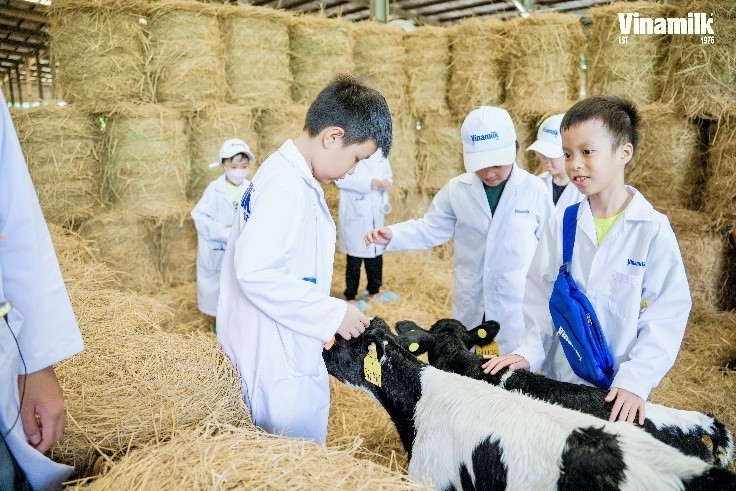 出发前,当被问及时,大多数学生们回答说他们想去农场,因为“以前从未见过奶牛”。不过,体验后,学生们不仅亲眼看到了奶牛,还生动直观地了解到了很多关于生态环保农场的日常活动的有趣信息。 出发前,当被问及时,大多数学生们回答说他们想去农场,因为“以前从未见过奶牛”。不过,体验后,学生们不仅亲眼看到了奶牛,还生动直观地了解到了很多关于生态环保农场的日常活动的有趣信息。