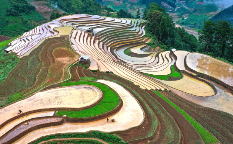 进入注水季节的一片片梯田美如画。 进入注水季节的一片片梯田美如画。