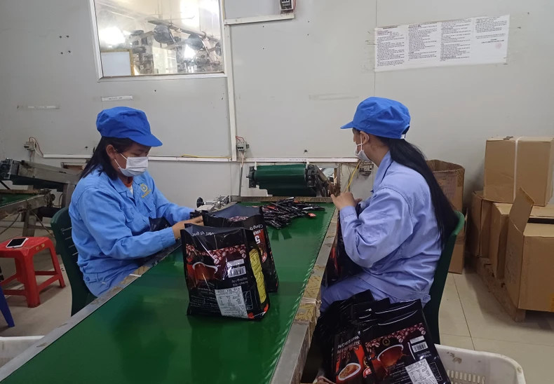 高平省广和县驮隆镇西贡咖啡一成员责任有限公司的速溶咖啡产品出口到中国。(图片来源:明俊 摄) 高平省广和县驮隆镇西贡咖啡一成员责任有限公司的速溶咖啡产品出口到中国。(图片来源:明俊 摄)