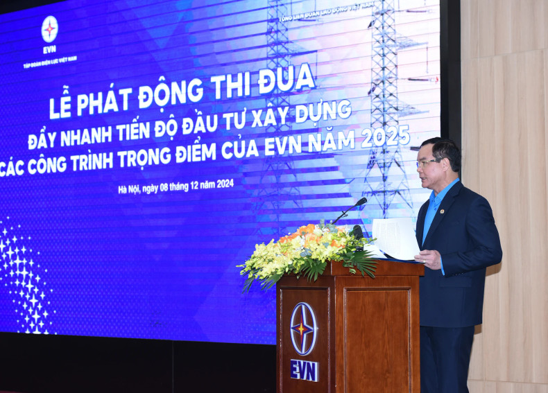 越南劳动总联合会主席阮廷康在会上发表讲话。 越南劳动总联合会主席阮廷康在会上发表讲话。