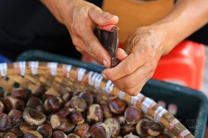 板栗壳剥壳是花费最多时间的工序,因为必须完全手工进行的。 板栗壳剥壳是花费最多时间的工序,因为必须完全手工进行的。