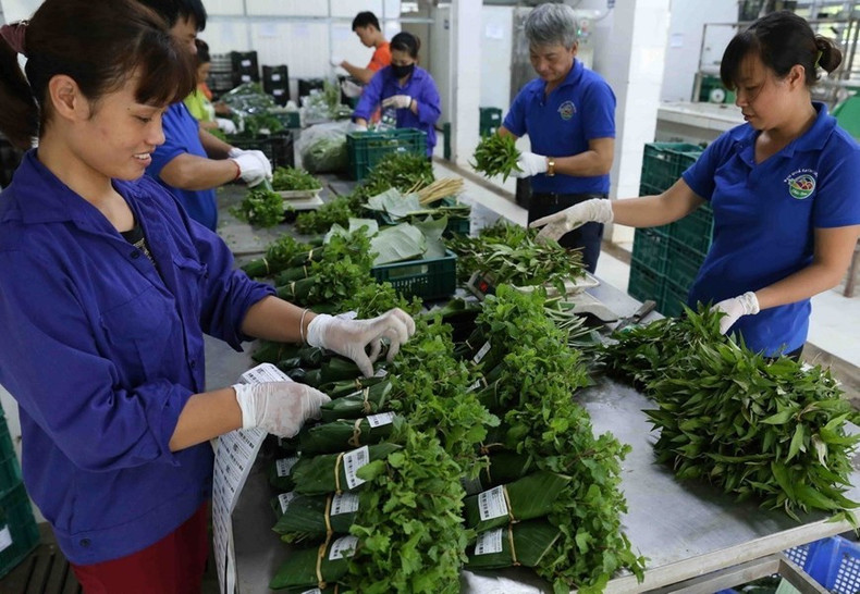 2024年世界水日——以水促和平【组图】 ảnh 3 2024年世界水日——以水促和平【组图】 ảnh 3