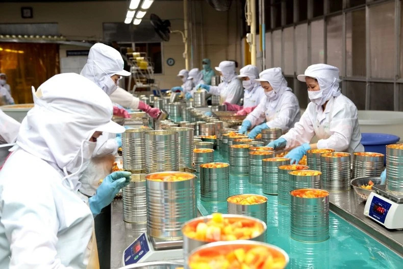 企业加大加工力度,提高果蔬出口值。 企业加大加工力度,提高果蔬出口值。