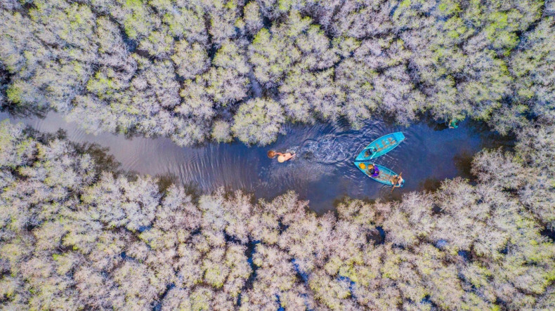 平山县平顺乡宝咖丐红树林是广义省独特的生态旅游目的地。