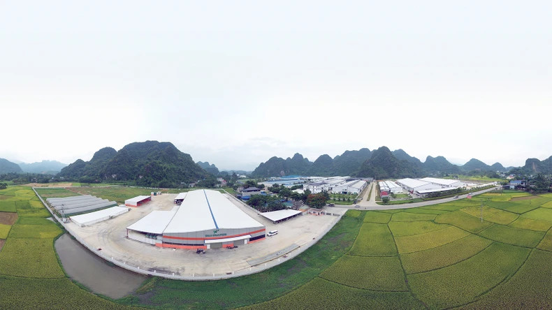山阳县福应工业群的入住率为96%。 山阳县福应工业群的入住率为96%。
