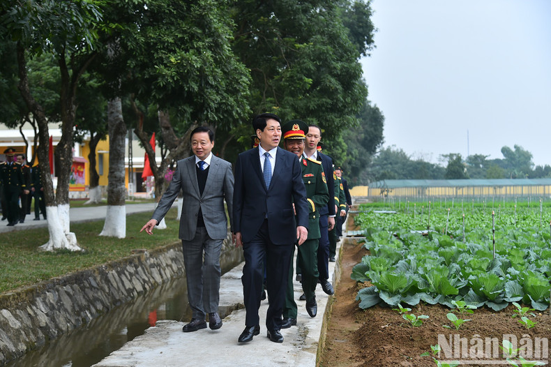 梁强主席参观12军241旅官兵菜园。