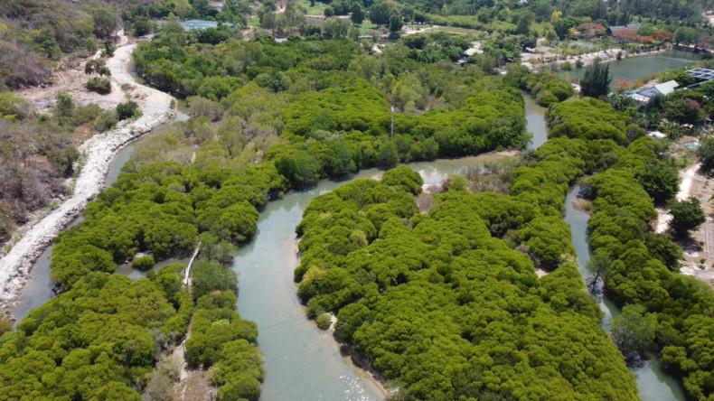 富安省青年努力恢复乌鸾泻湖蓝色地带。