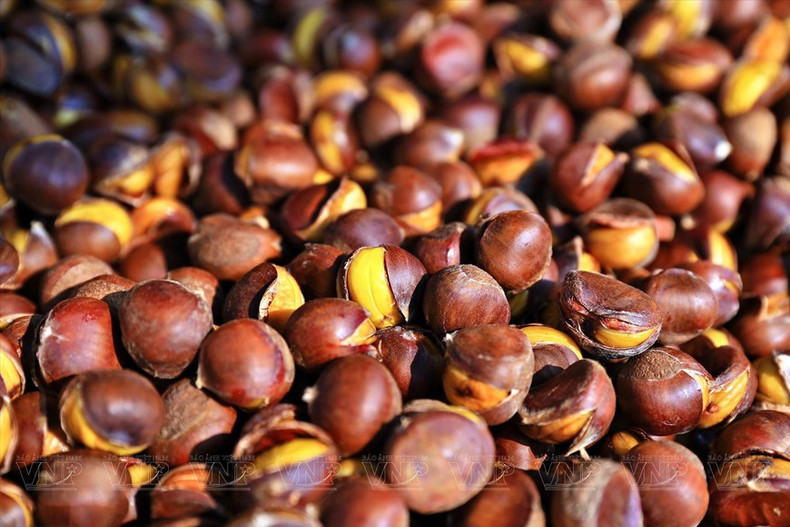 重庆板栗对人体健康有许多好处,如滋补肾脏、增强心脏健康、促进消化、美容养颜、对孕妇和哺乳期妇女有益等。 重庆板栗对人体健康有许多好处,如滋补肾脏、增强心脏健康、促进消化、美容养颜、对孕妇和哺乳期妇女有益等。