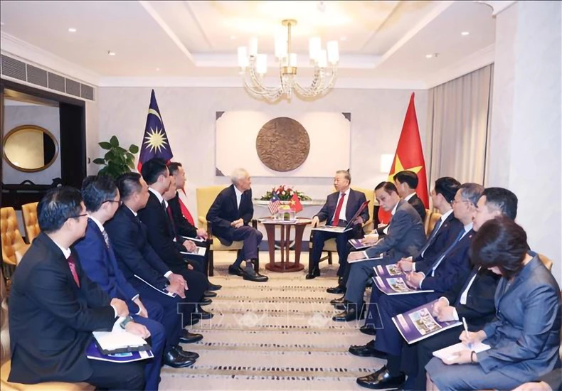 苏林总书记会见Gamuda集团首席执行官拿督林云龙先生。