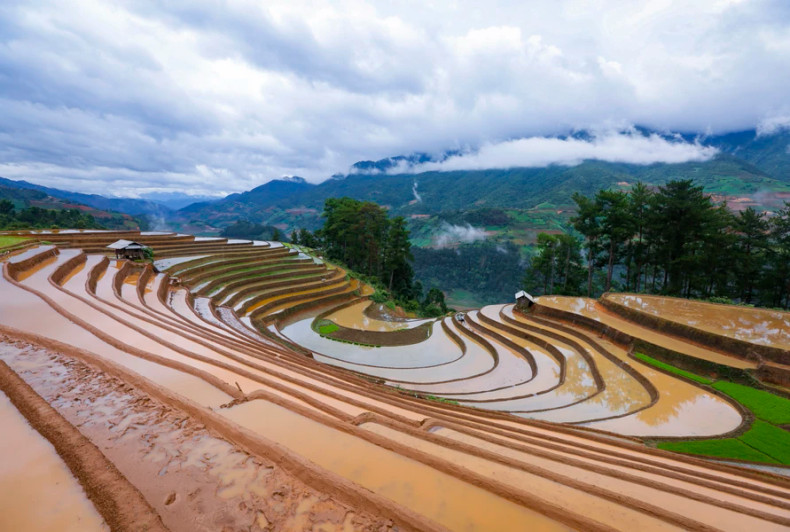 注水季里的梯田以泥土棕色为主色,与稻谷的嫩绿相容交织,勾勒出一幅诗情画意的景象。 注水季里的梯田以泥土棕色为主色,与稻谷的嫩绿相容交织,勾勒出一幅诗情画意的景象。