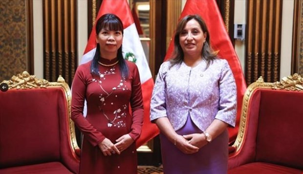 范氏金华大使礼节性拜会秘鲁总统。(图片来源:越通社) 范氏金华大使礼节性拜会秘鲁总统。(图片来源:越通社)