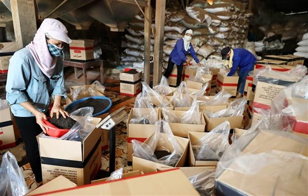 包装出口到国际市场的茶叶产品。