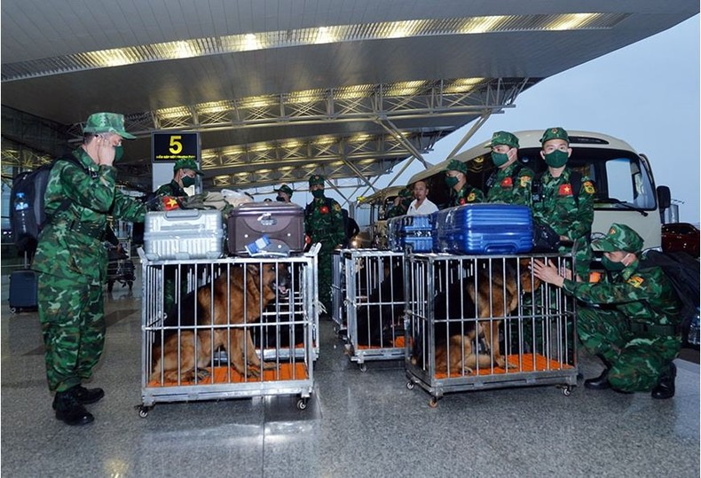 随时随地照顾“忠实朋友”。