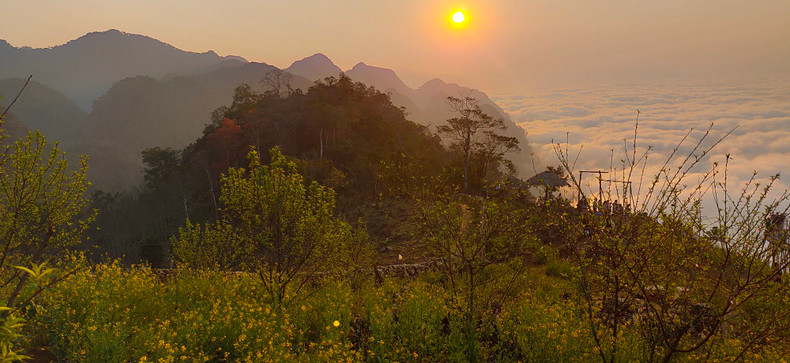 在猎云地点附近,人们种了很多芥菜花、荞麦花、五彩等花草。 春天,油菜花烂漫盛开。 在猎云地点附近,人们种了很多芥菜花、荞麦花、五彩等花草。 春天,油菜花烂漫盛开。