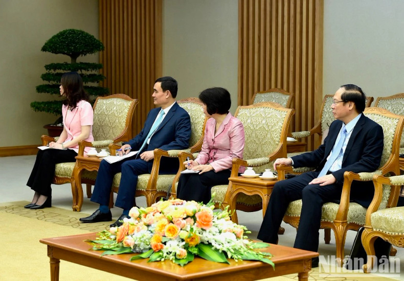 越南各部位行业领导代表出席会见。