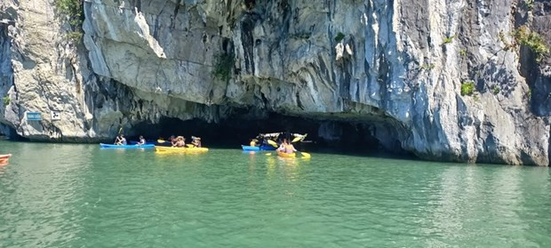 下龙湾—吉婆群岛遍布1130多座形状各异的石灰岩岛屿。 下龙湾—吉婆群岛遍布1130多座形状各异的石灰岩岛屿。