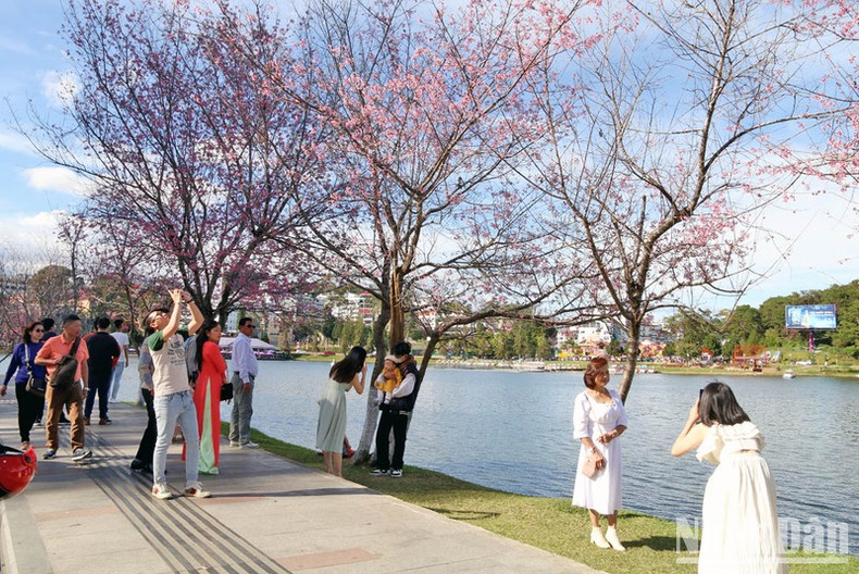 大叻市吸引游客。 大叻市吸引游客。