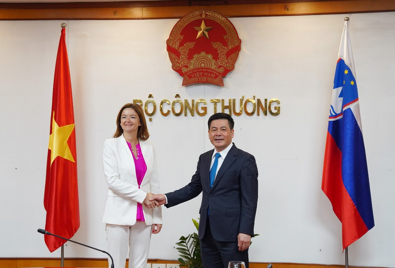 越南工贸部部长阮鸿延会见了斯洛文尼亚企业代表团。