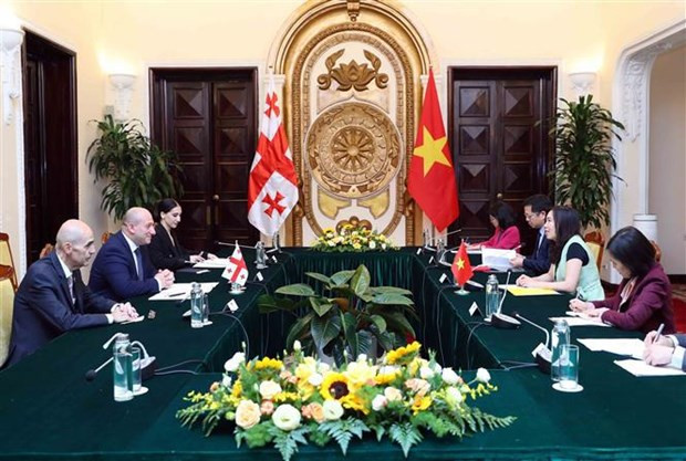 越南外交部与格鲁吉亚外交部第二次政治磋商会。