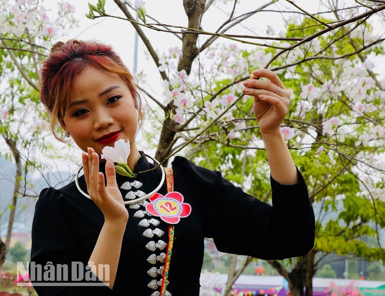 [Ảnh] Sôi động Lễ hội hoa ban thành phố Sơn La ảnh 14