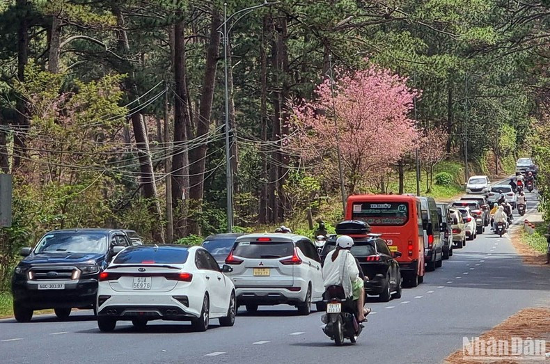前往大叻市的道路。 前往大叻市的道路。
