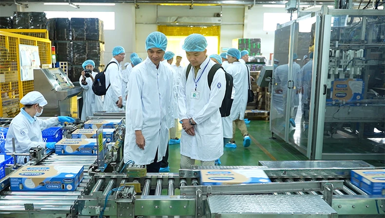 合作伙伴在直接了解Vinamilk的农场和工厂系统后感到满意和充满信心。 合作伙伴在直接了解Vinamilk的农场和工厂系统后感到满意和充满信心。