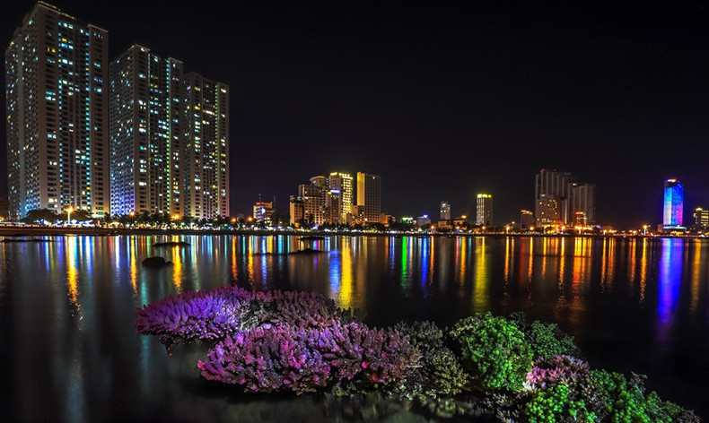 游客可以来到芽庄市钟屿石岬角欣赏种类丰富、十分美丽的生物——珊瑚。 游客可以来到芽庄市钟屿石岬角欣赏种类丰富、十分美丽的生物——珊瑚。