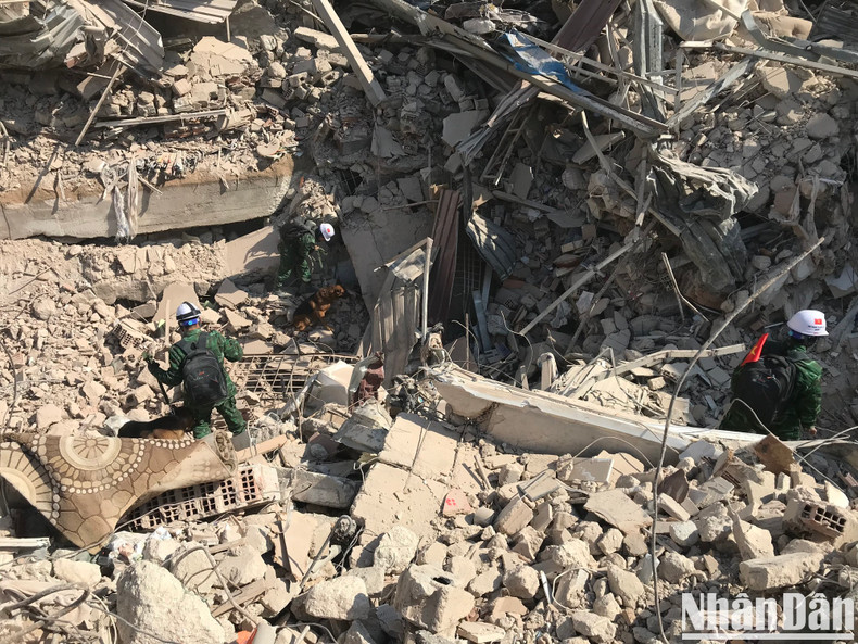 越南人民军支援救灾队从哈塔伊的废墟中找出36具遇难者遗体。 越南人民军支援救灾队从哈塔伊的废墟中找出36具遇难者遗体。