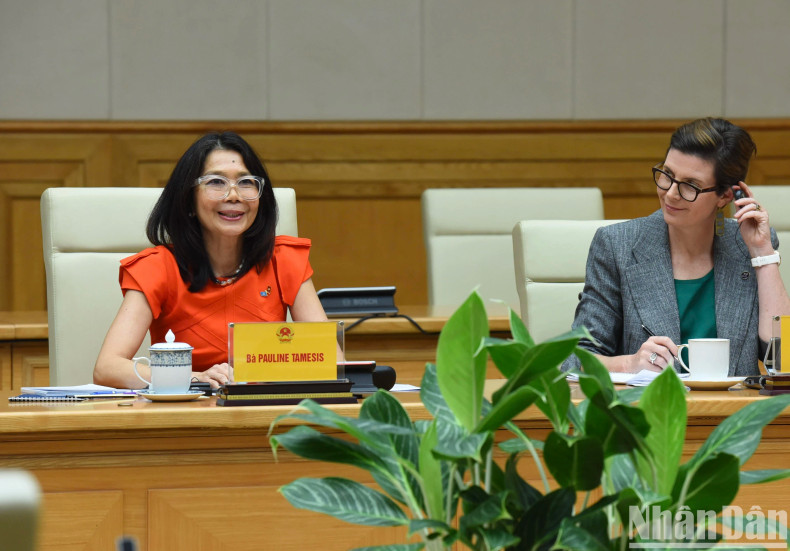 联合国常驻越南协调员兼各机构首席代表宝琳·塔梅西斯在会见中发表讲话。