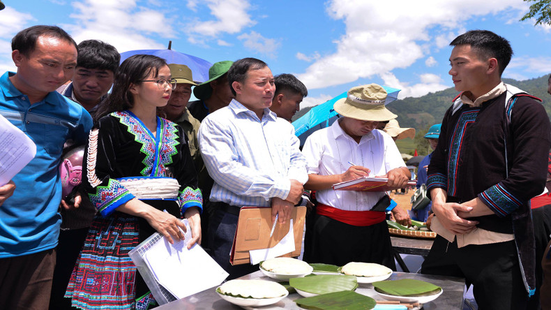 评委会对作品进行评价。 评委会对作品进行评价。