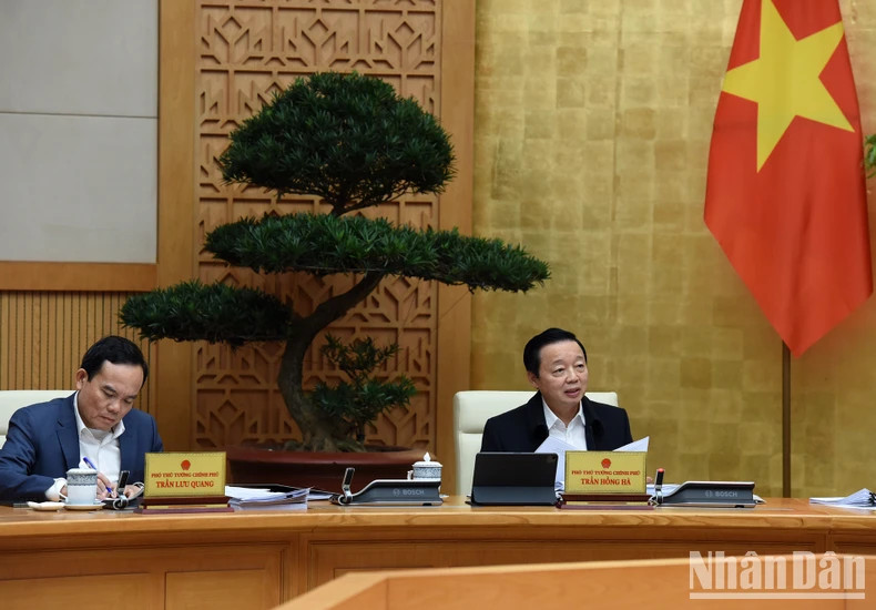 政府副总理陈红河发表讲话。