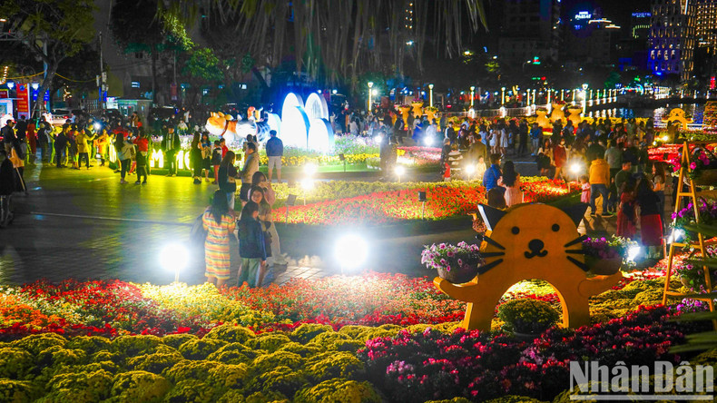 岘港市人民赏春花。