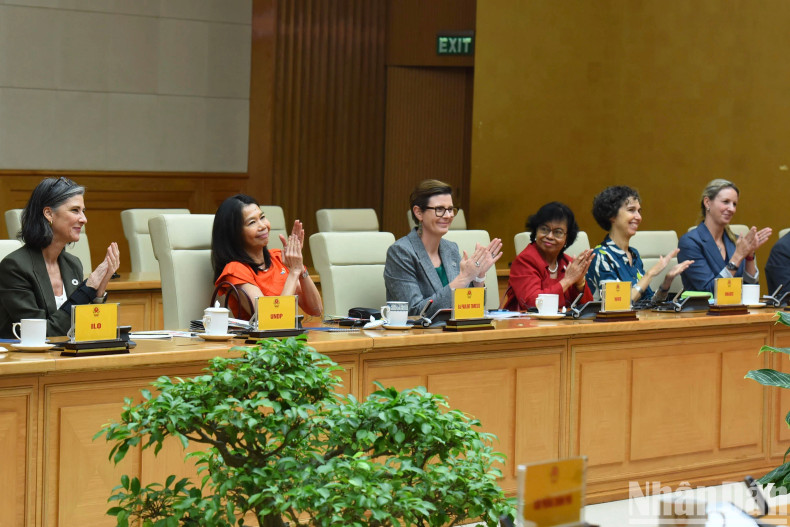 联合国常驻越南协调员兼各机构首席代表宝琳·塔梅西斯表示，联合国高度评价越南有关支持多边主义的立场。