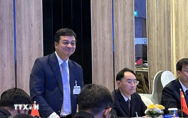 越南地质与矿业局副局长陈美勇。（图片来源：越通社）