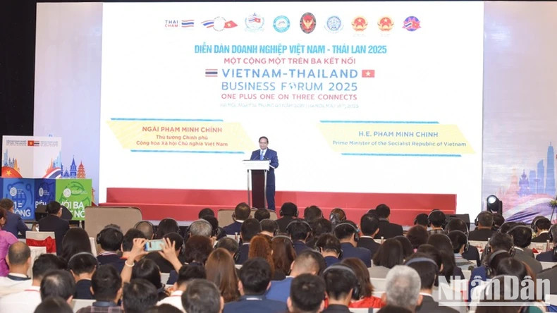 越泰企业论坛场景。 越泰企业论坛场景。