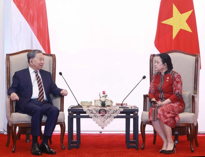 苏林总书记会见印尼人民代表会议议长普安·马哈拉尼。 苏林总书记会见印尼人民代表会议议长普安·马哈拉尼。