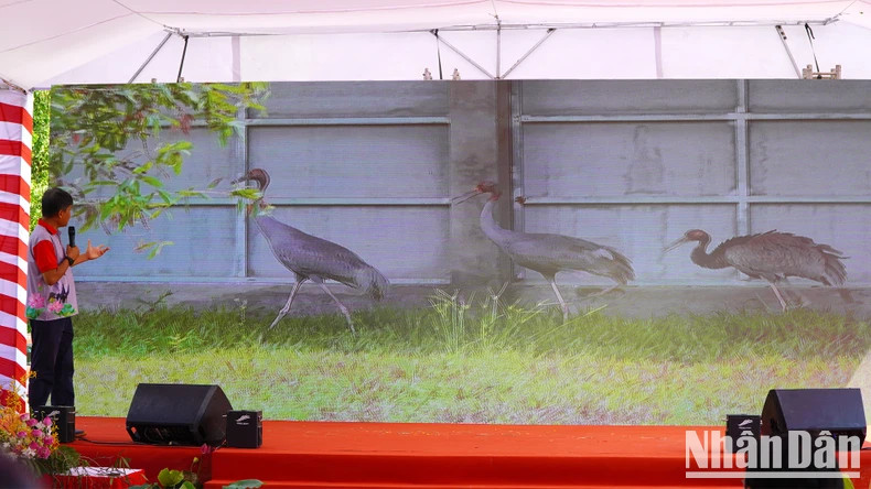 组委会通过摄像系统实时连线,展示丹顶鹤个体的画面。 组委会通过摄像系统实时连线,展示丹顶鹤个体的画面。