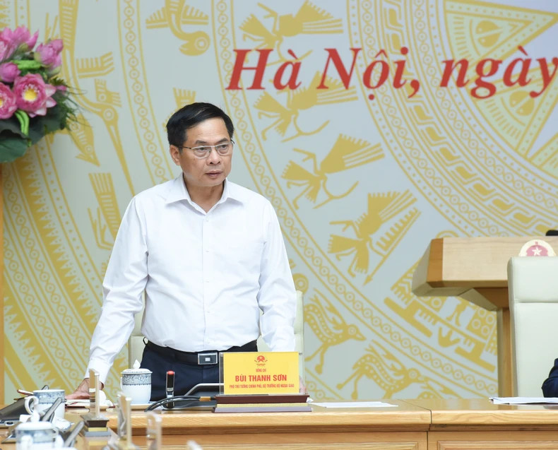 政府副总理兼外交部长培青山发表讲话。