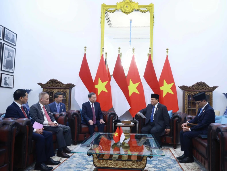 苏林总书记和印尼总统普拉博沃·苏比延多举行小范围会晤。