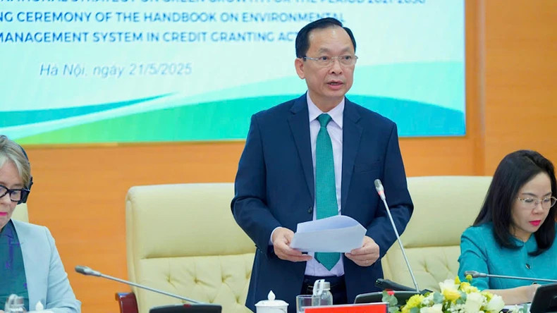 越南国家银行常务副行长陶明秀。 越南国家银行常务副行长陶明秀。