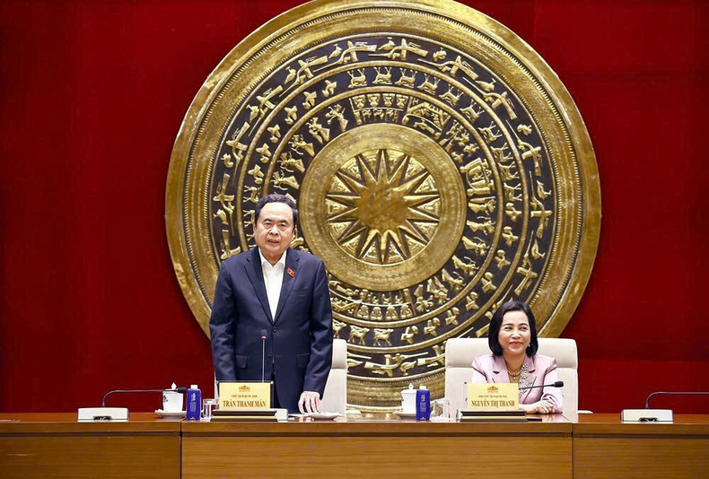 越南国会主席陈青敏发表讲话。（图片来源：越通社）