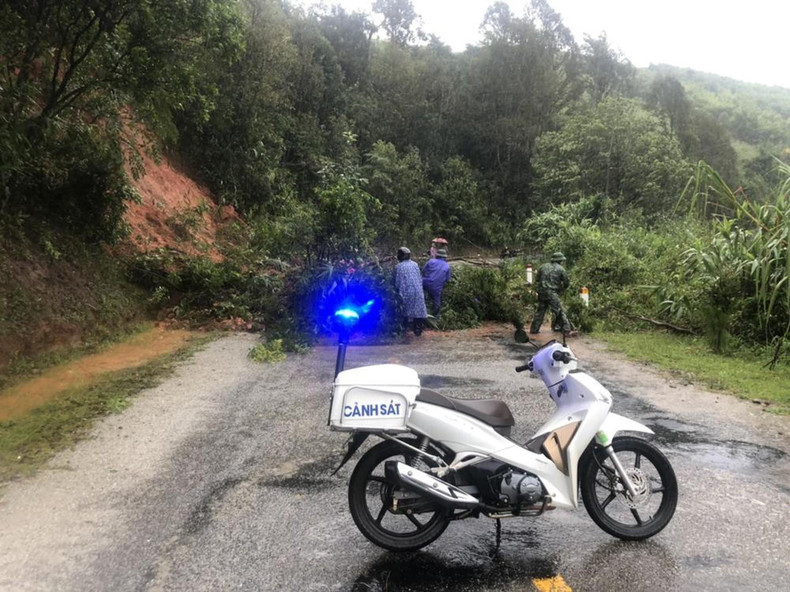 职能单位正在锯树通路。